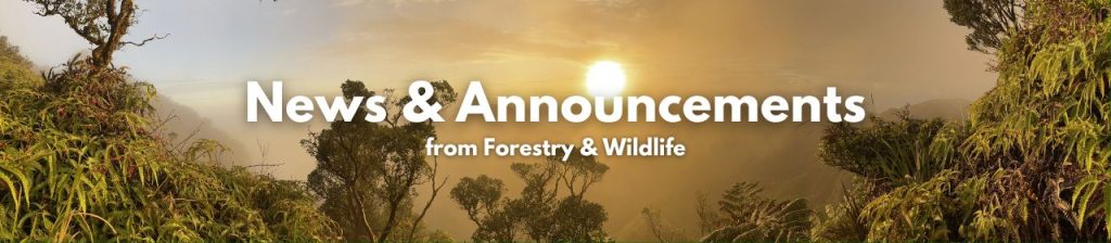 News & Announcements