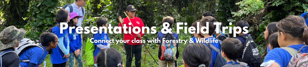 Presentations and Field Trips