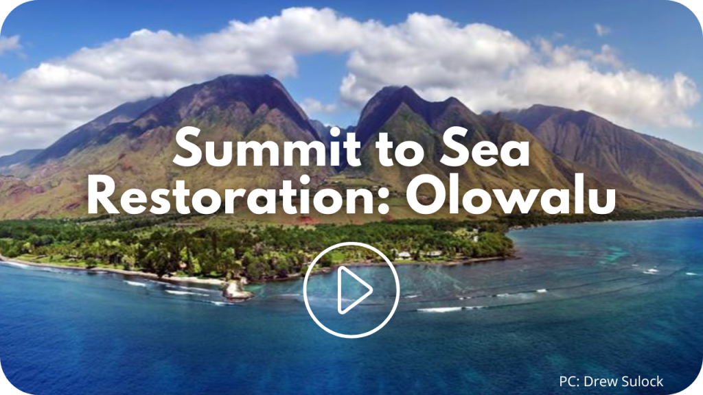 Olowalu summit to sea restoration video