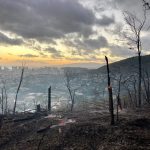 Burnt forest above Honolulu
