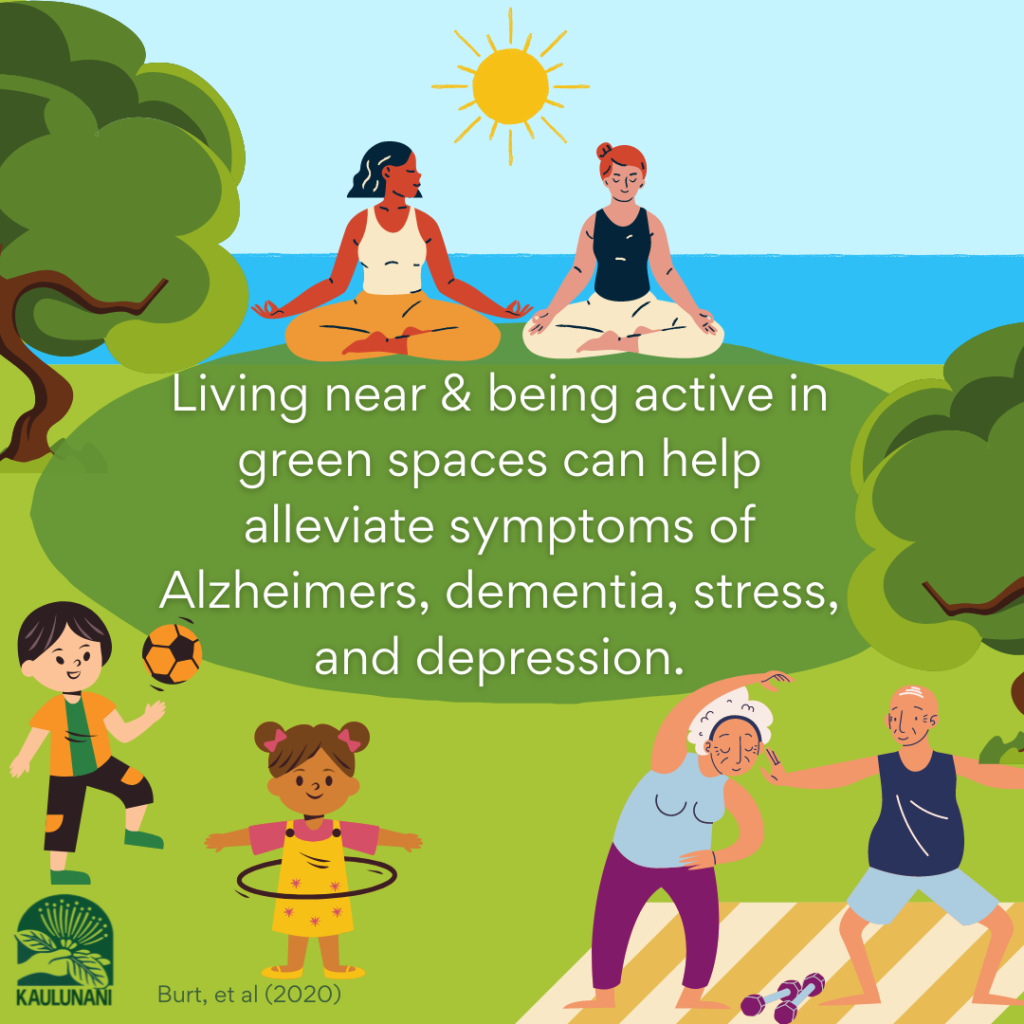 Living near and being active in green spaces can help alleviate symptoms of Alzheimers, dementia, stress, and depression