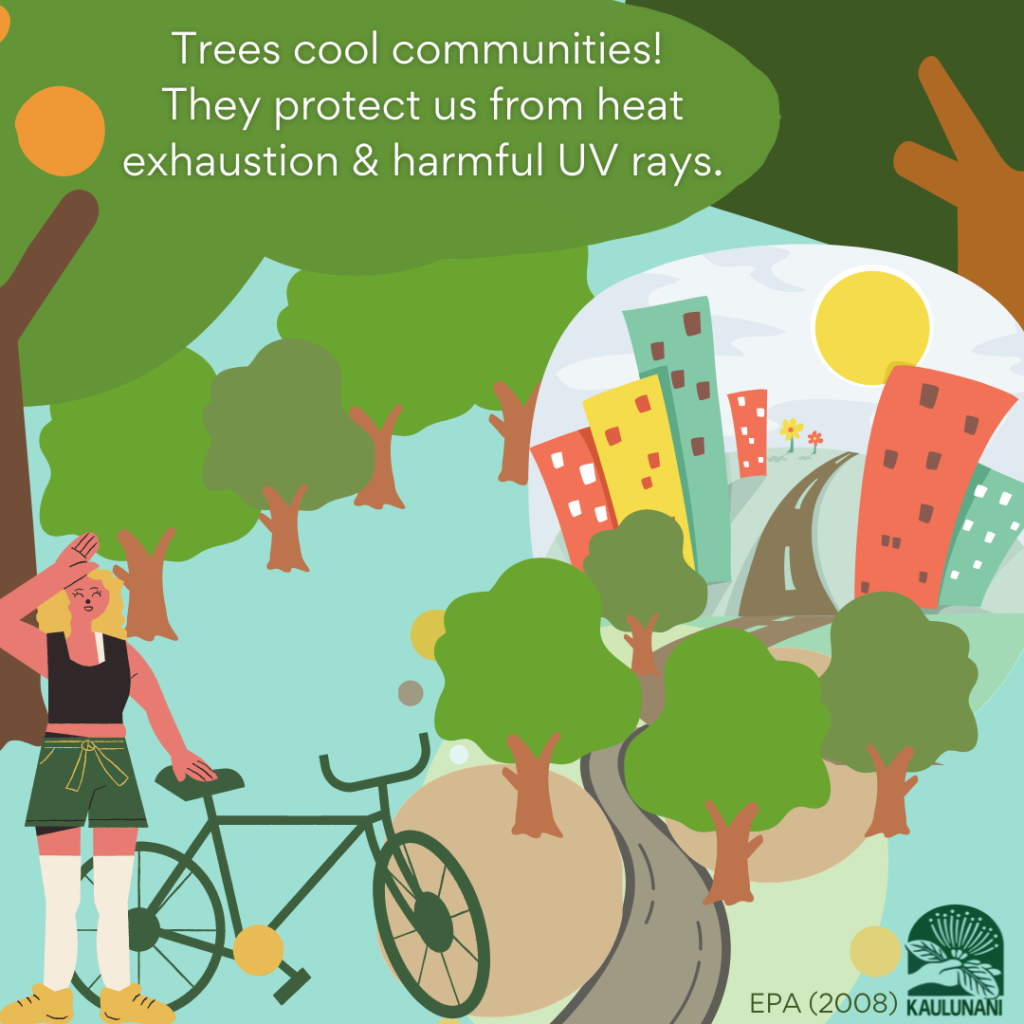 Trees cool communities! They protect us from heat exhaustion and harmful UV rays.