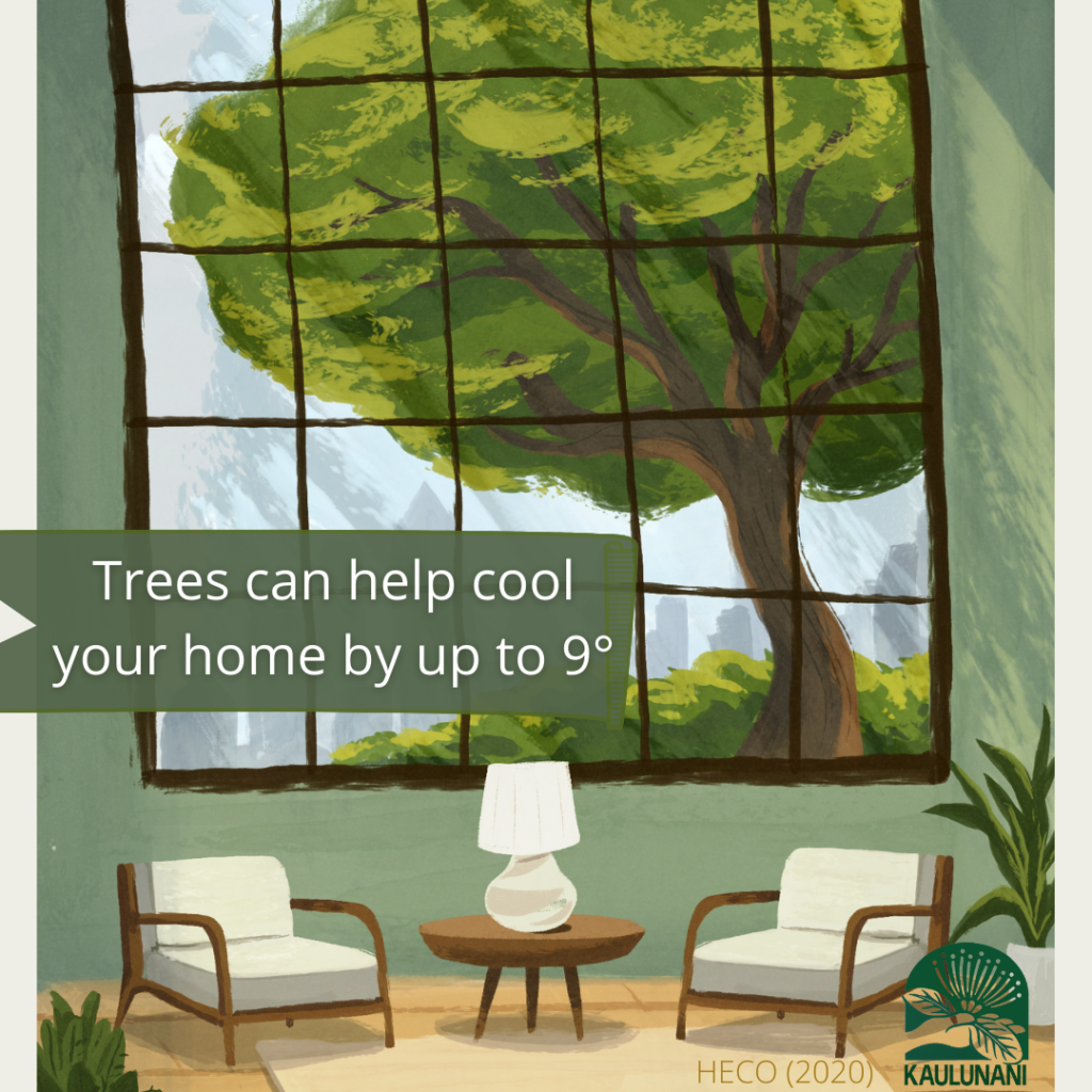 Trees can help cool your home by up to 9˚