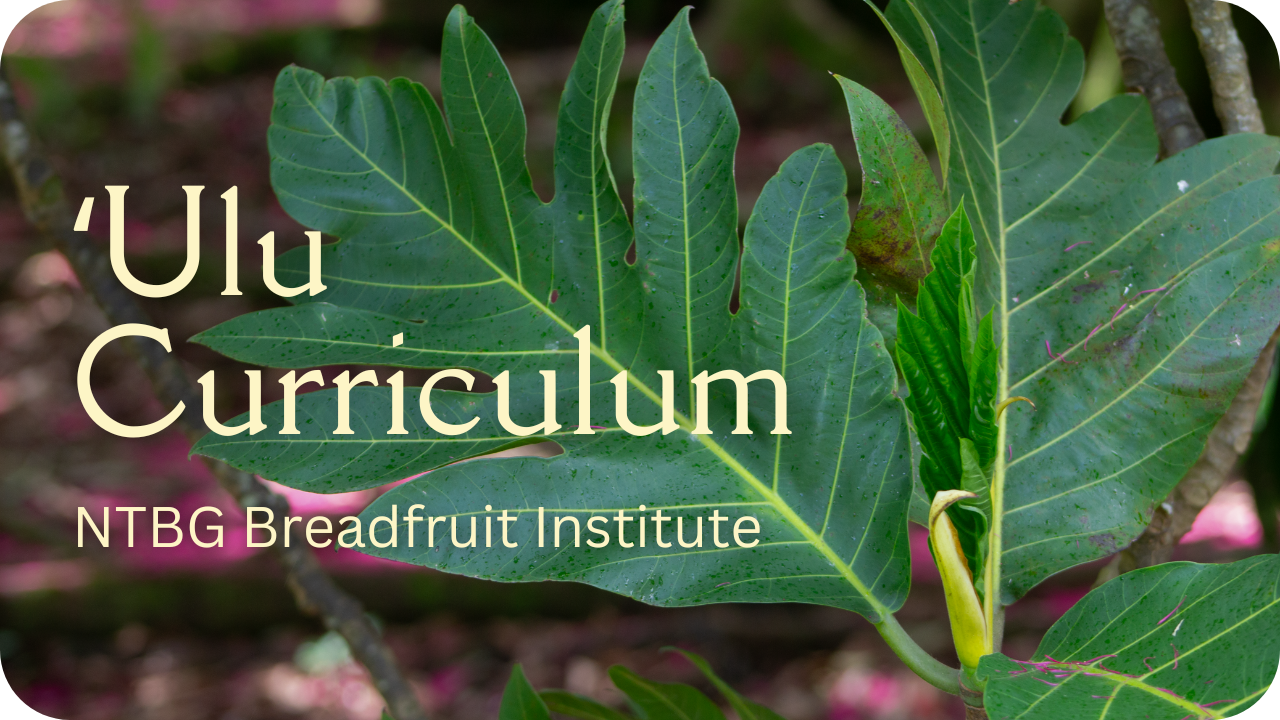 An image of ʻulu leaves