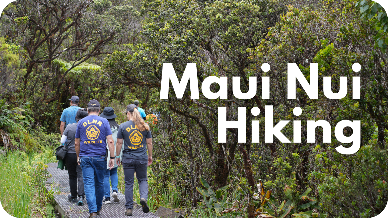 Maui Hiking