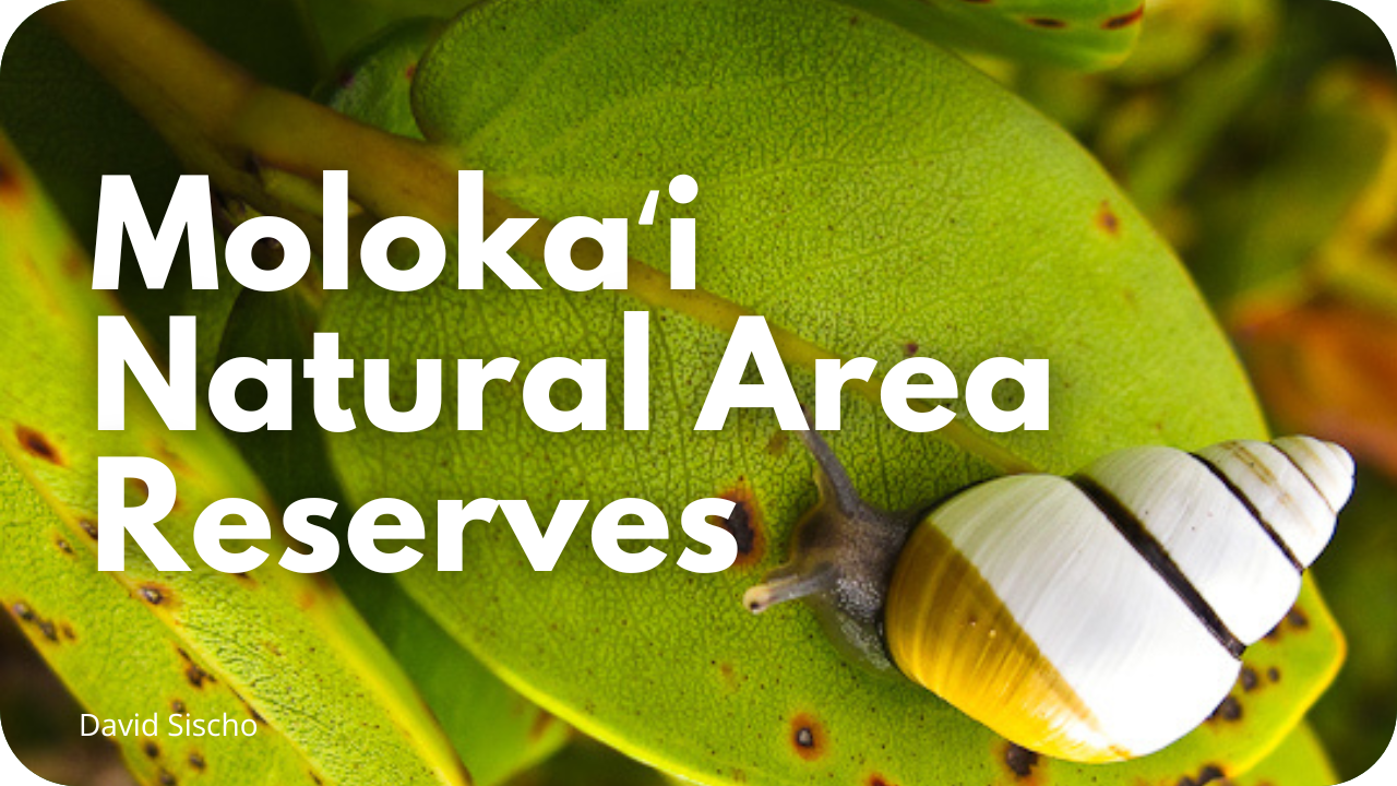 Molokaʻi Natural Area Reserves