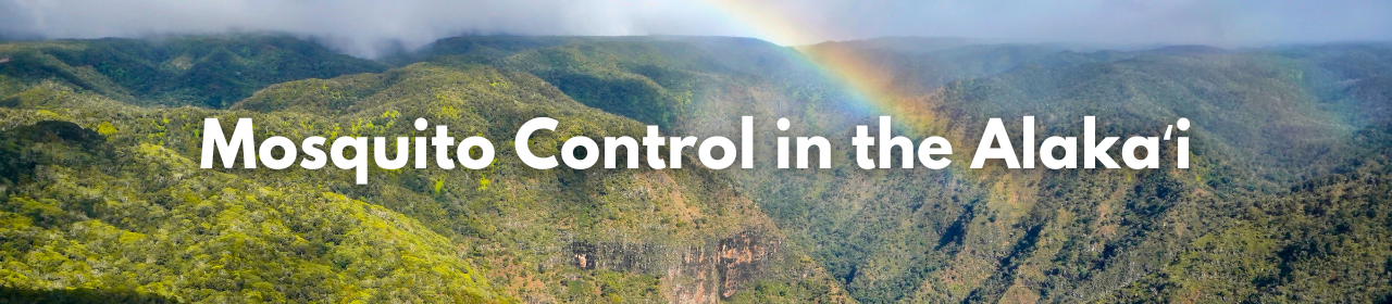 Mosquito Control in the Alakai