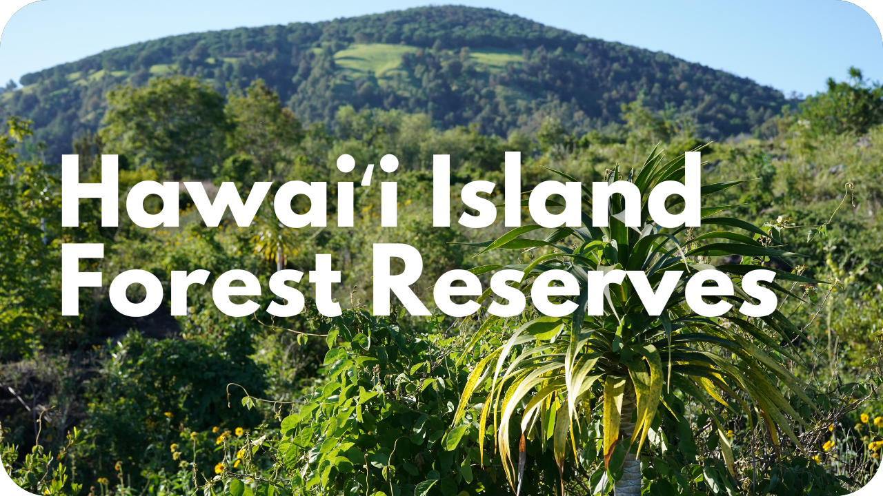 Hawaii Island Forest Reserves