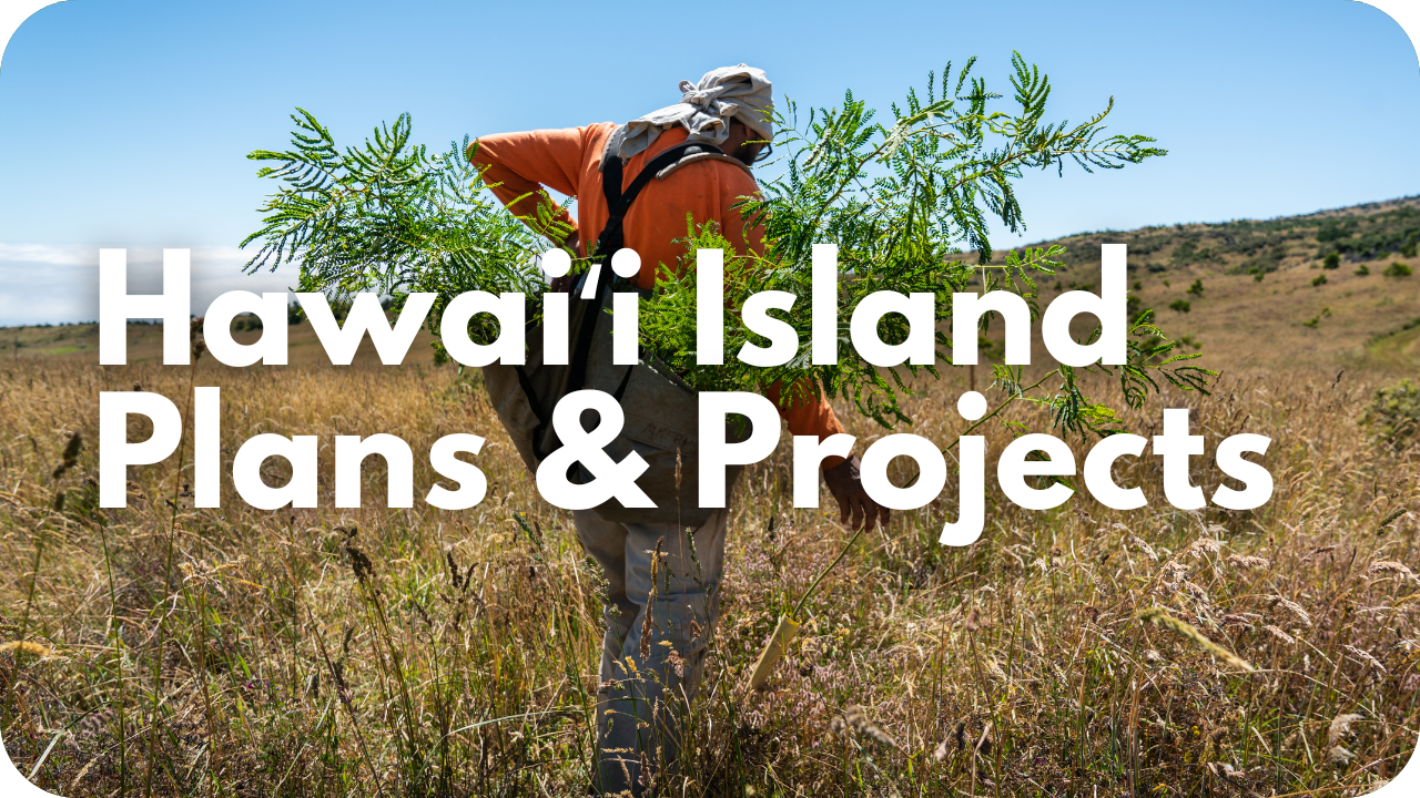 HI Plans and Projects