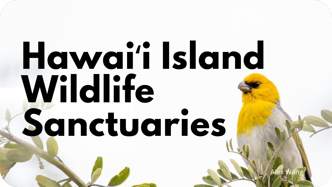 HI Wildlife Sanctuaries