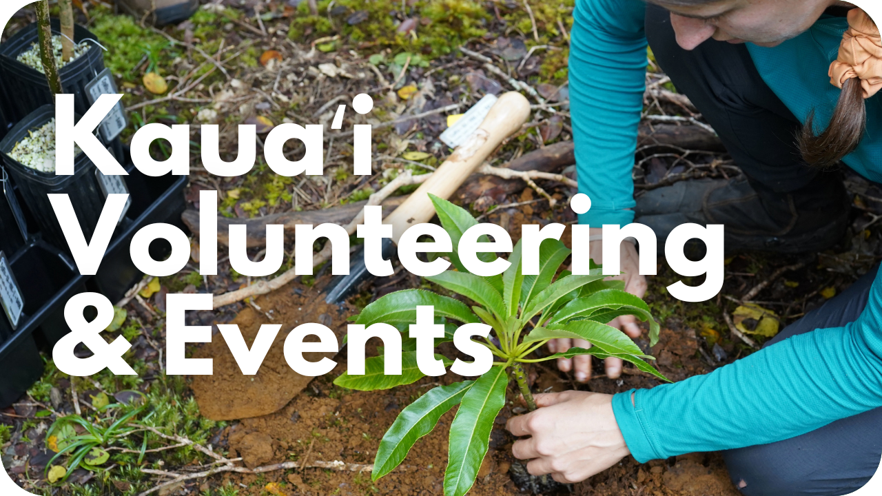 Kauaʻi Events