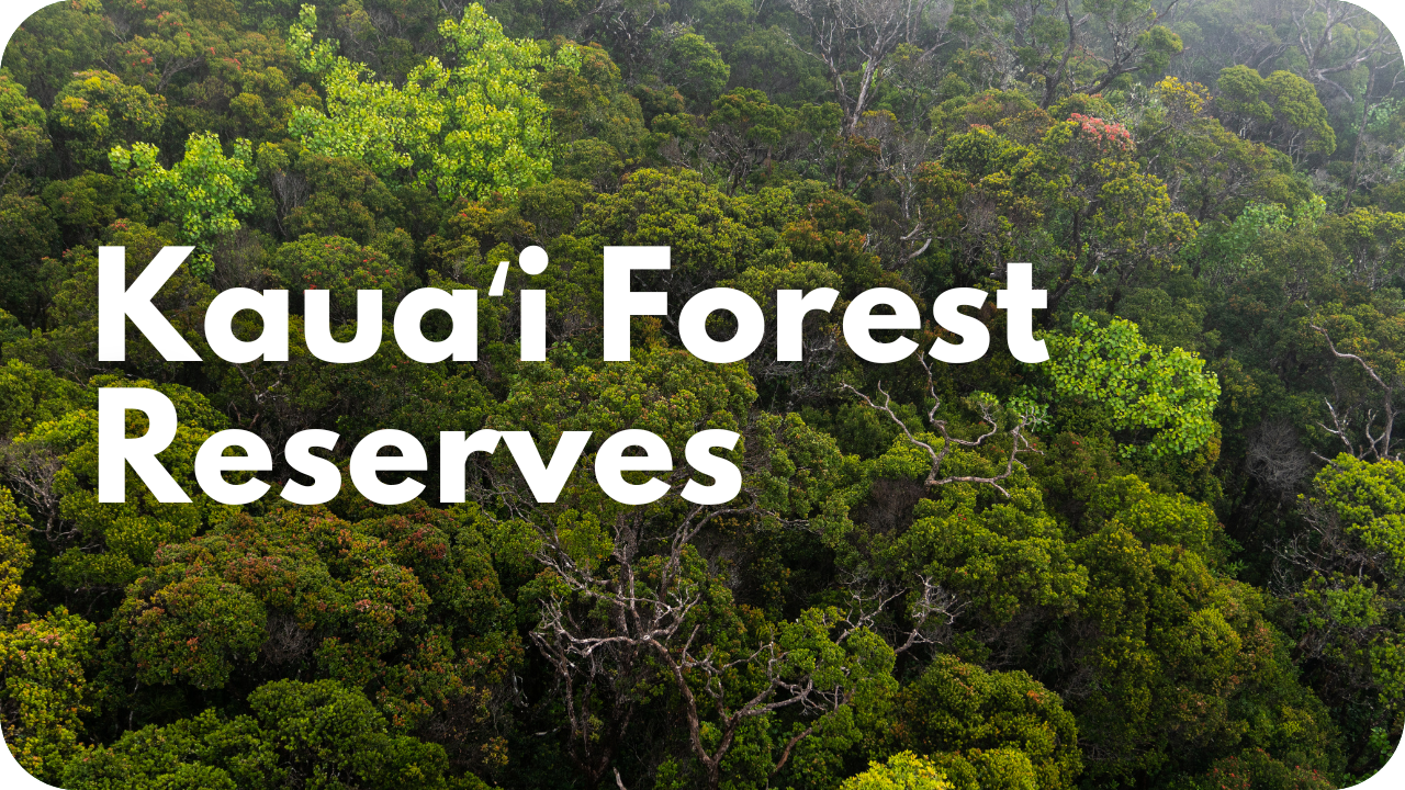 Kauaʻi Forest Reserves