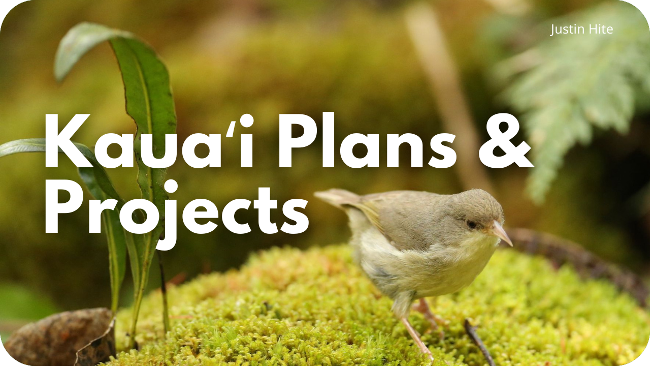 Kauaʻi Plans