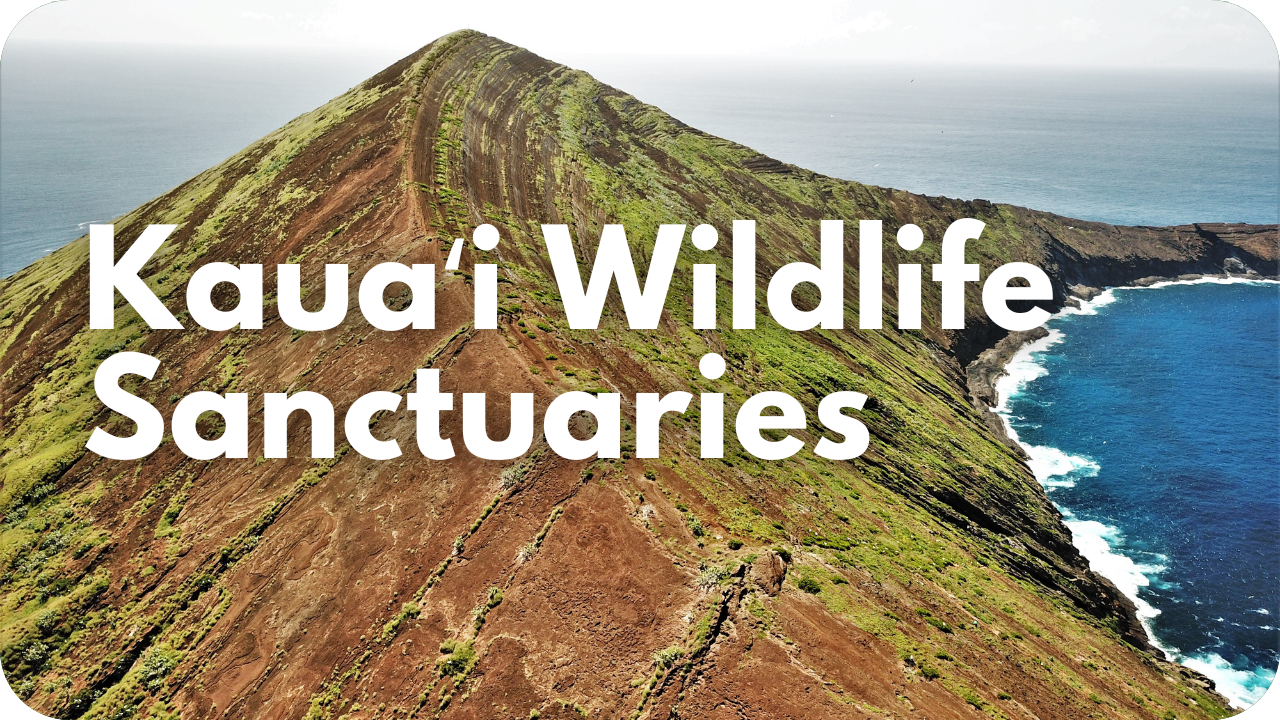 Kauaʻi Wildlife Sanctuaries