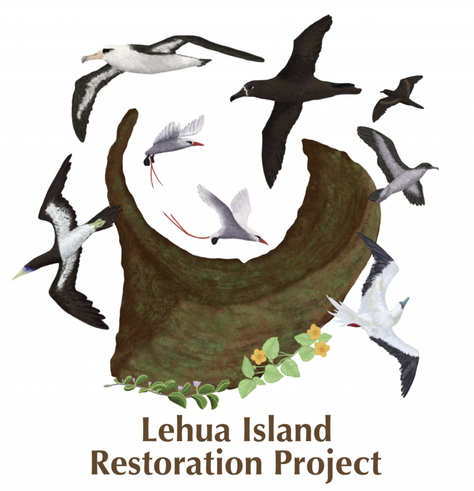 Lehua Logo