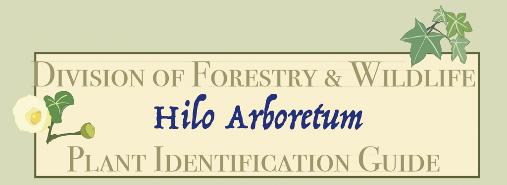 Hilo Arboretum Header