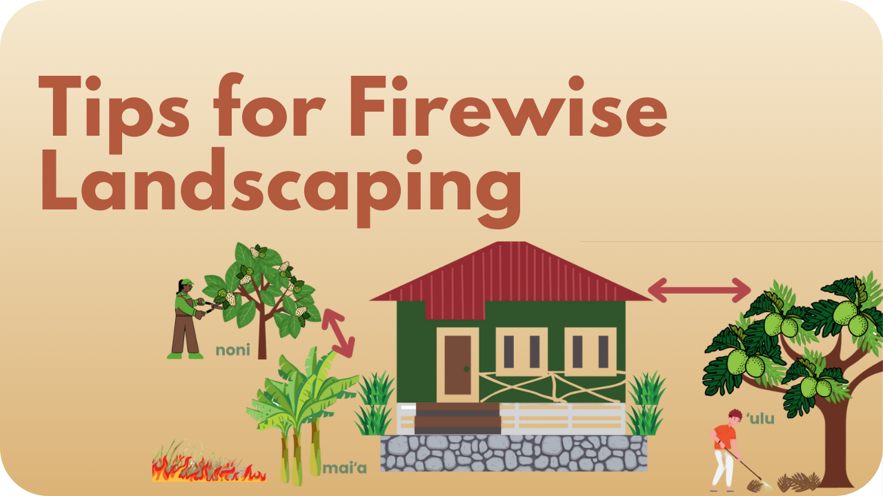 Tips for Firewise Landscaping