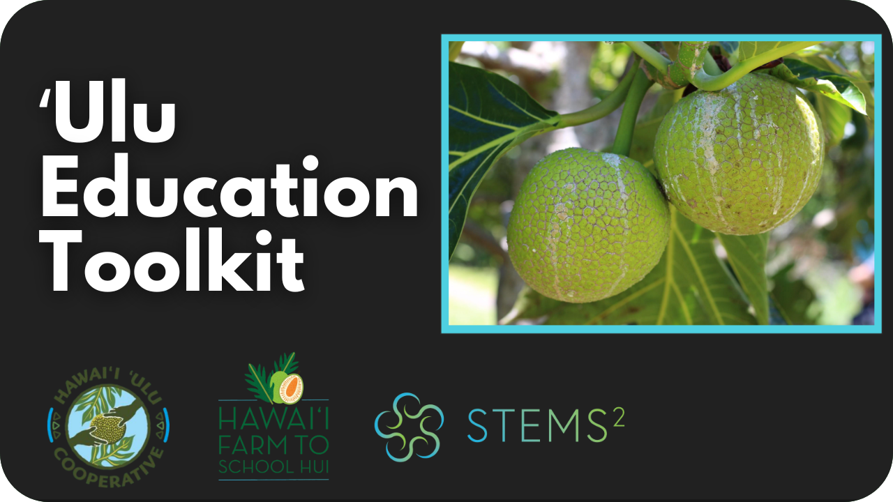 Ulu Education Toolkit button