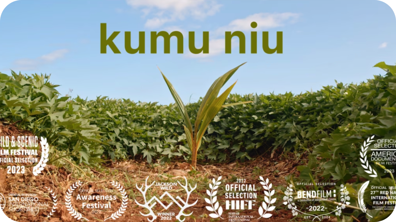 Kumu Niu thumbnail