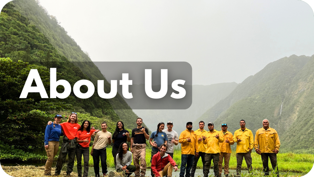 About Us- photo of crew in the field