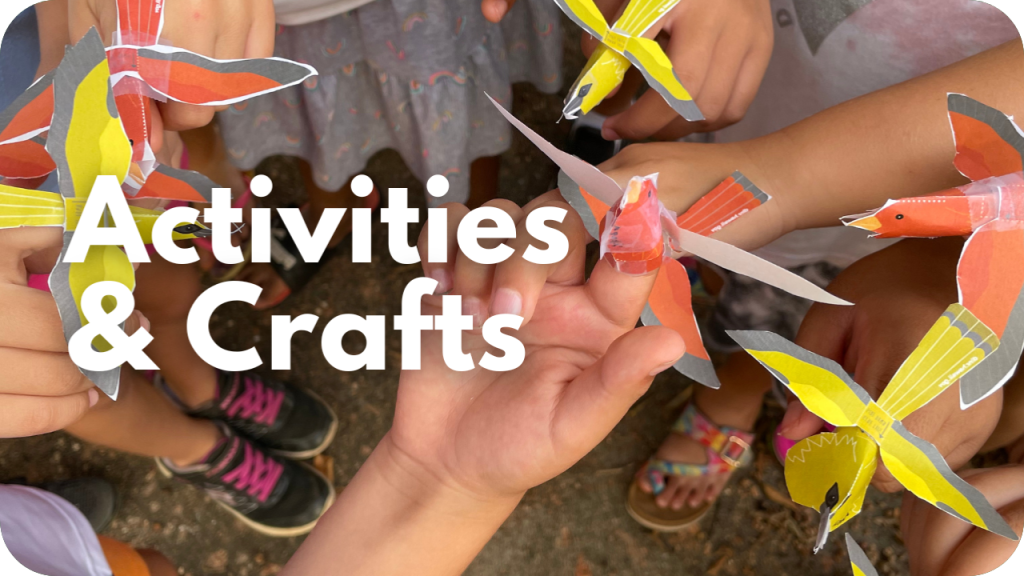 Activities and crafts- photo of bird finger puppets