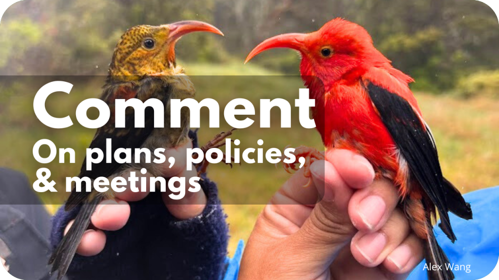 Comment on plans, policies, and meetings- photo of two ʻiʻiwi birds