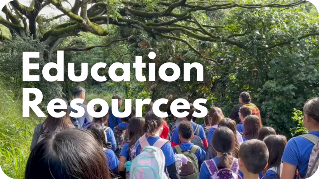 Education Resources- photo of student group outside