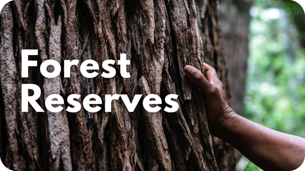 Forest Reserves- photo of hand on tree