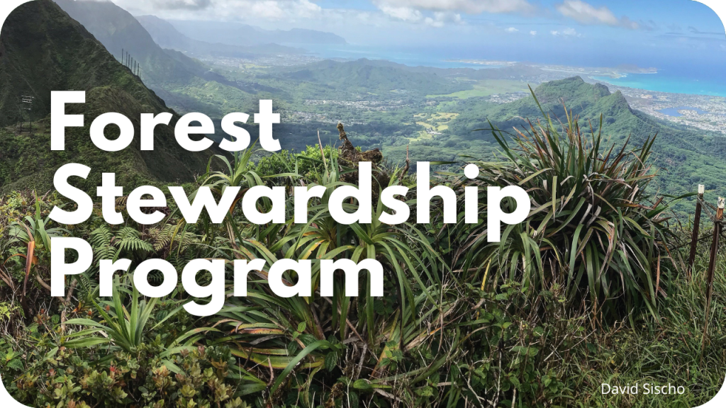 Forest Stewardship Program- photo of forested landscape