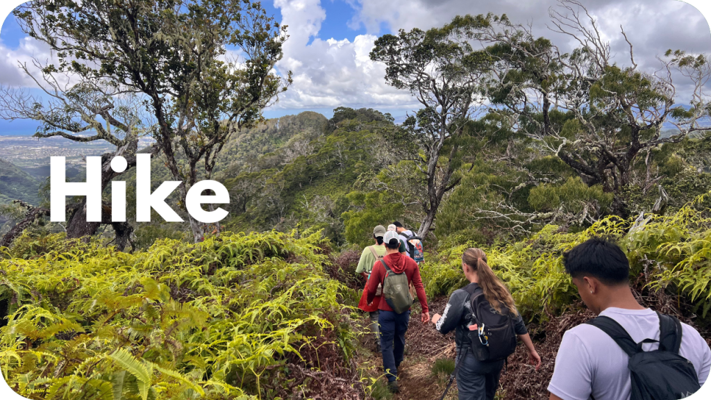 Hike- photo of hikers