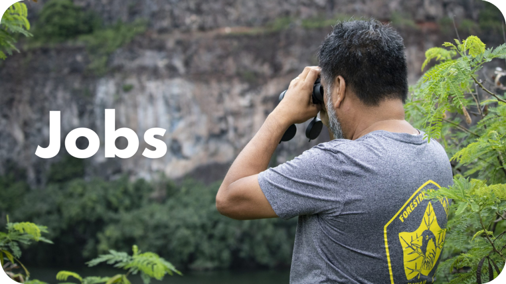 Jobs- photo of man with binoculars