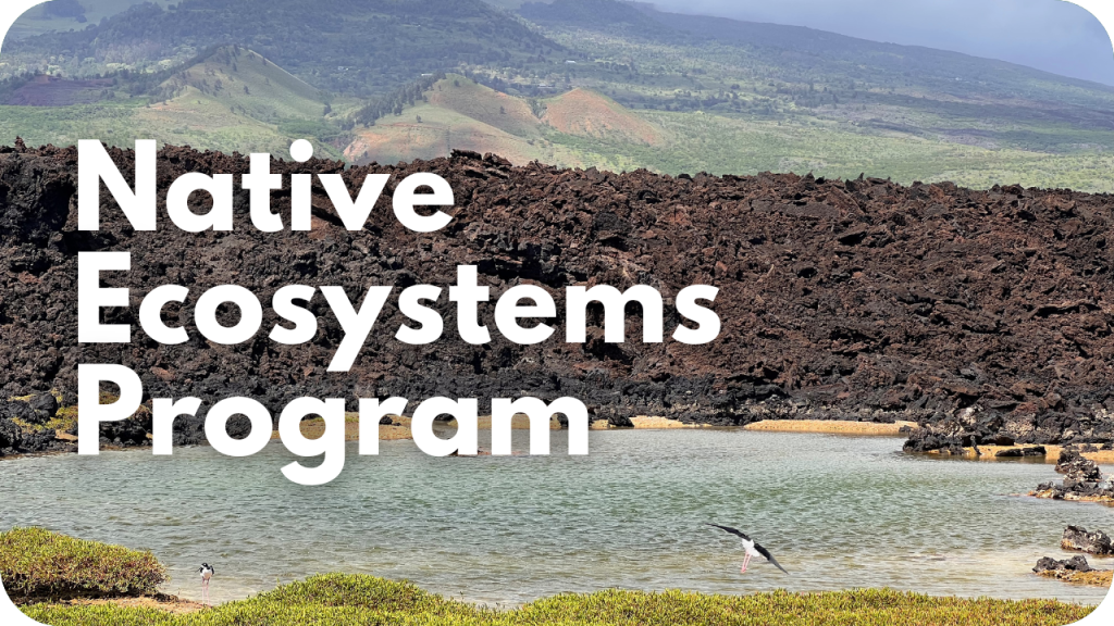 Native Ecosystems Program- photo of pond and mountain