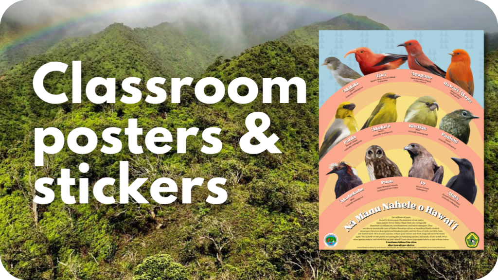 Classroom posters and stickers