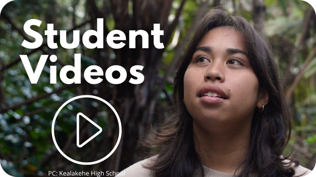 Student video link; student in forest