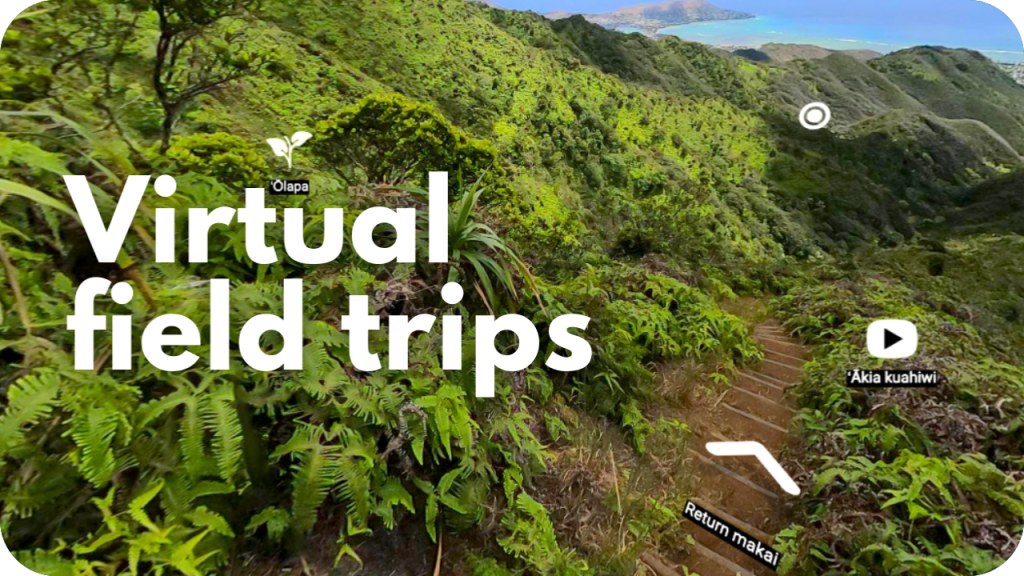 Virtual field trips