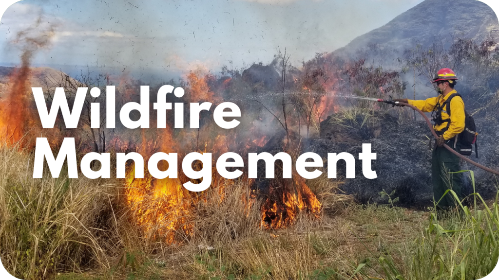 Wildfire Management- photo of fire fighter