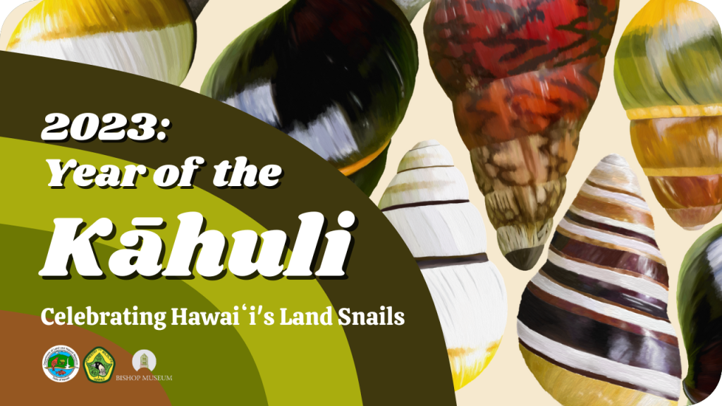 2023: Year of the Kahuli, celebrating Hawaiʻi's land snails