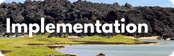 Implementation