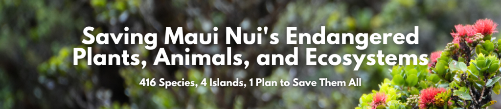 Saving Maui Nuiʻs Endangered Plants, Animals, and Ecosystems. 416 Species, 4 Islands, 1 Plant to Save Them All