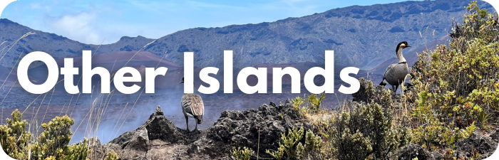 Other Islands