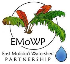 EMoWP logo