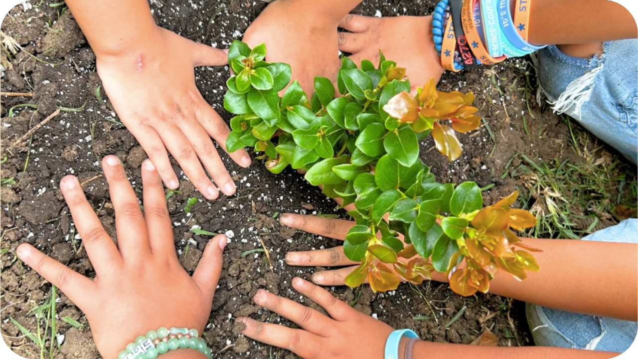 Community Forestry Education