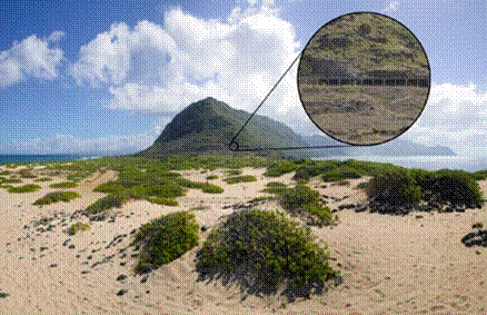 possible view from point