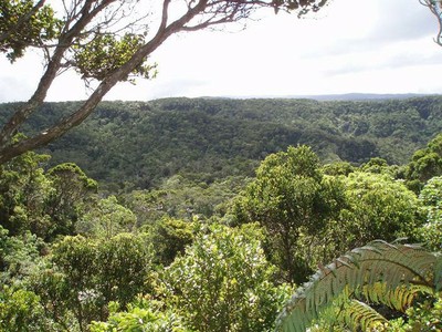 vista of the Alakai including the Hono o Na Pali NAR extension