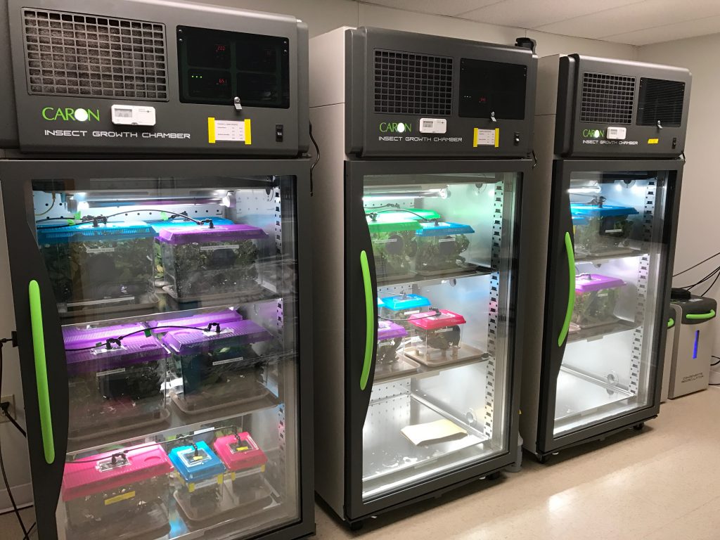 Growth chambers in the SEPP captive rearing facility.