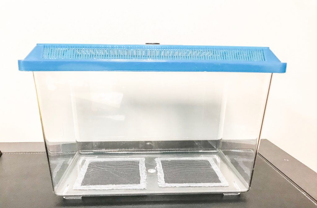 Empty terrarium that is used to house snails in the captive rearing facility.