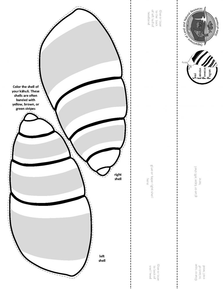 Kāhuli headband kit, black and white
