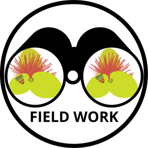 A graphic of Achatinella lila on an `ōhi`a seen through binoculars linking to the "Field Work" page.