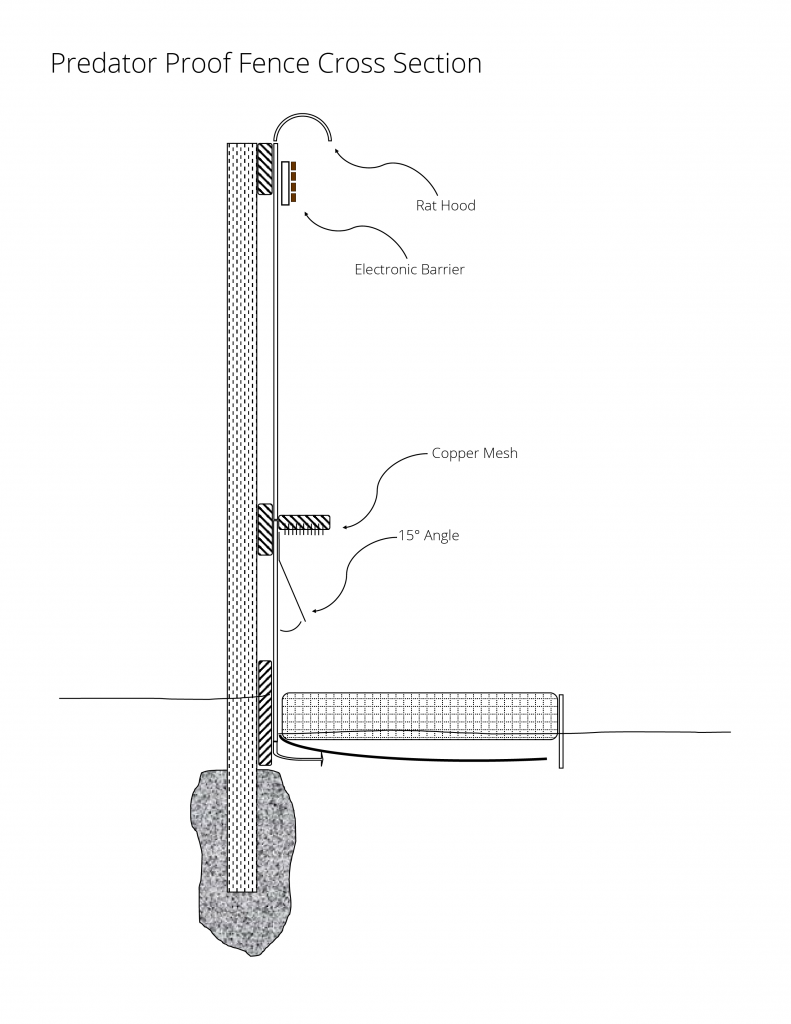 Diagram of the current design for predator proof exclosures.
