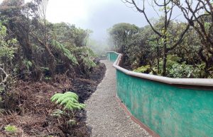 Predator exclosure for Hawaiian snails, they are illegal to enter without permission